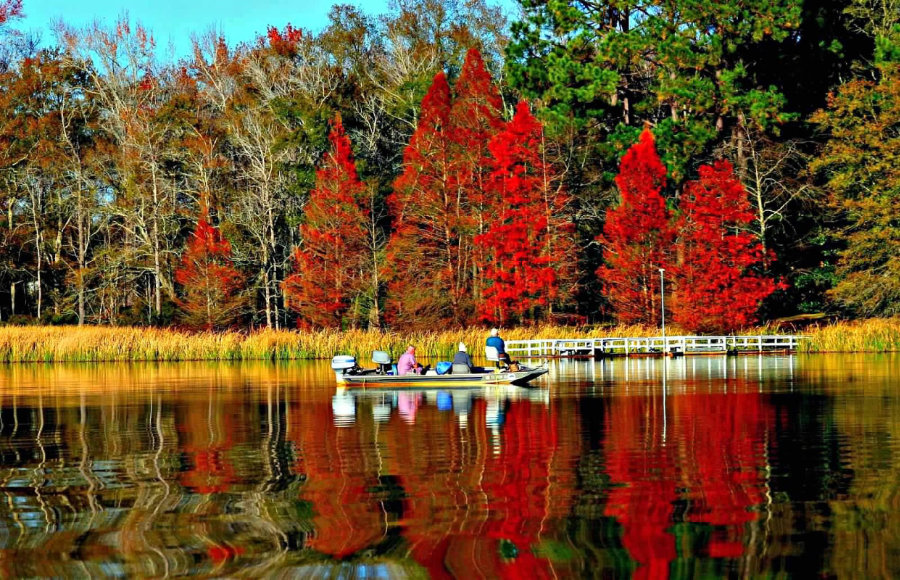 Fall Colors